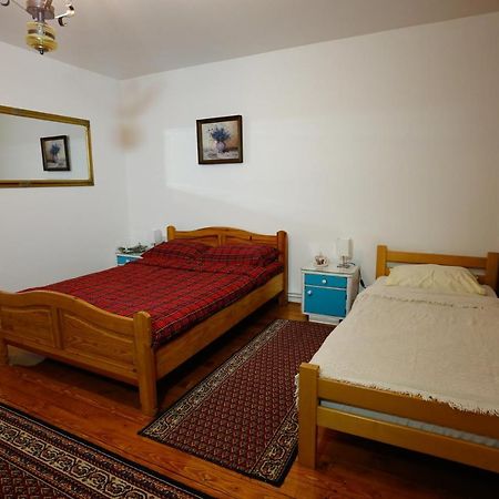 Apartman Carpe Diem Zaječar 外观 照片