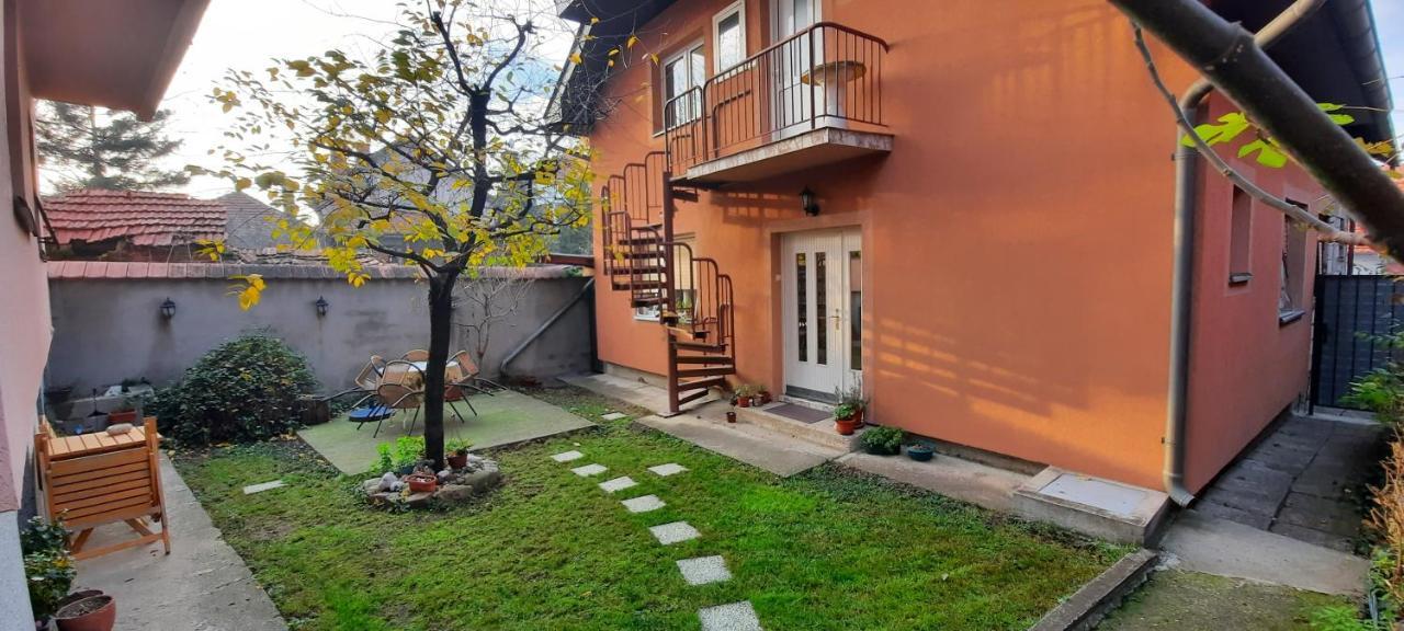 Apartman Carpe Diem Zaječar 外观 照片